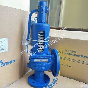 Válvula de seguridad Spirax Sarco SV607DS